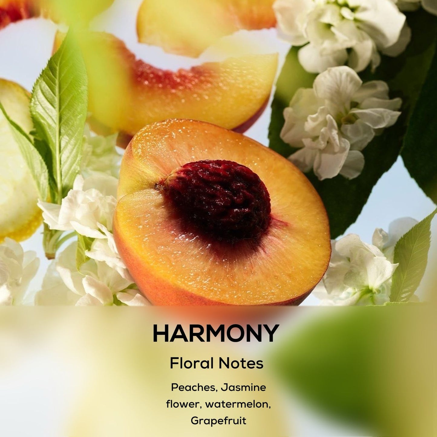 HARMONY